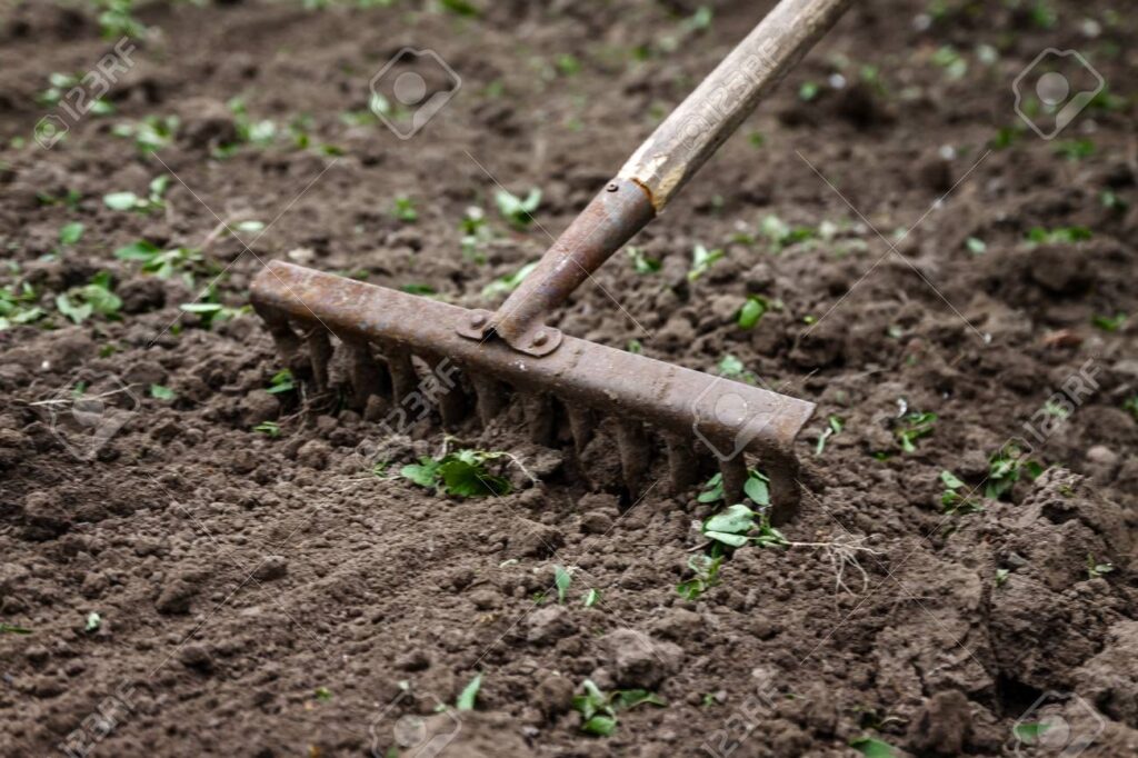 Gardening Preparation in Taupo District